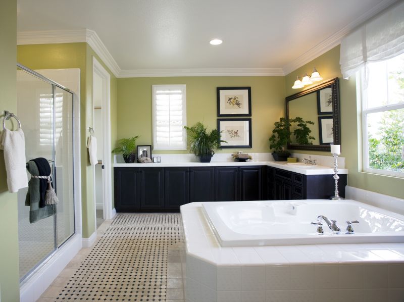 Modern Bathtub Conversions